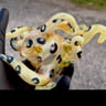 Small image 3