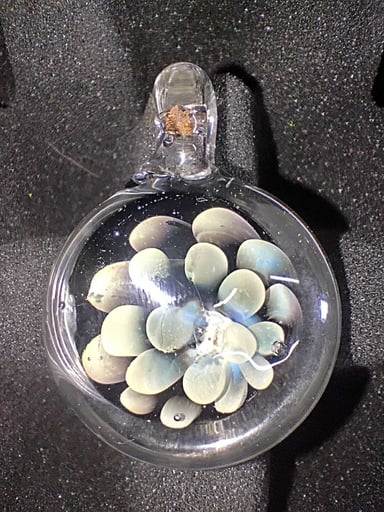Preview pic of Silver fumed Implosion pendant