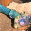 Small image 1