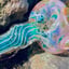 Small image 5