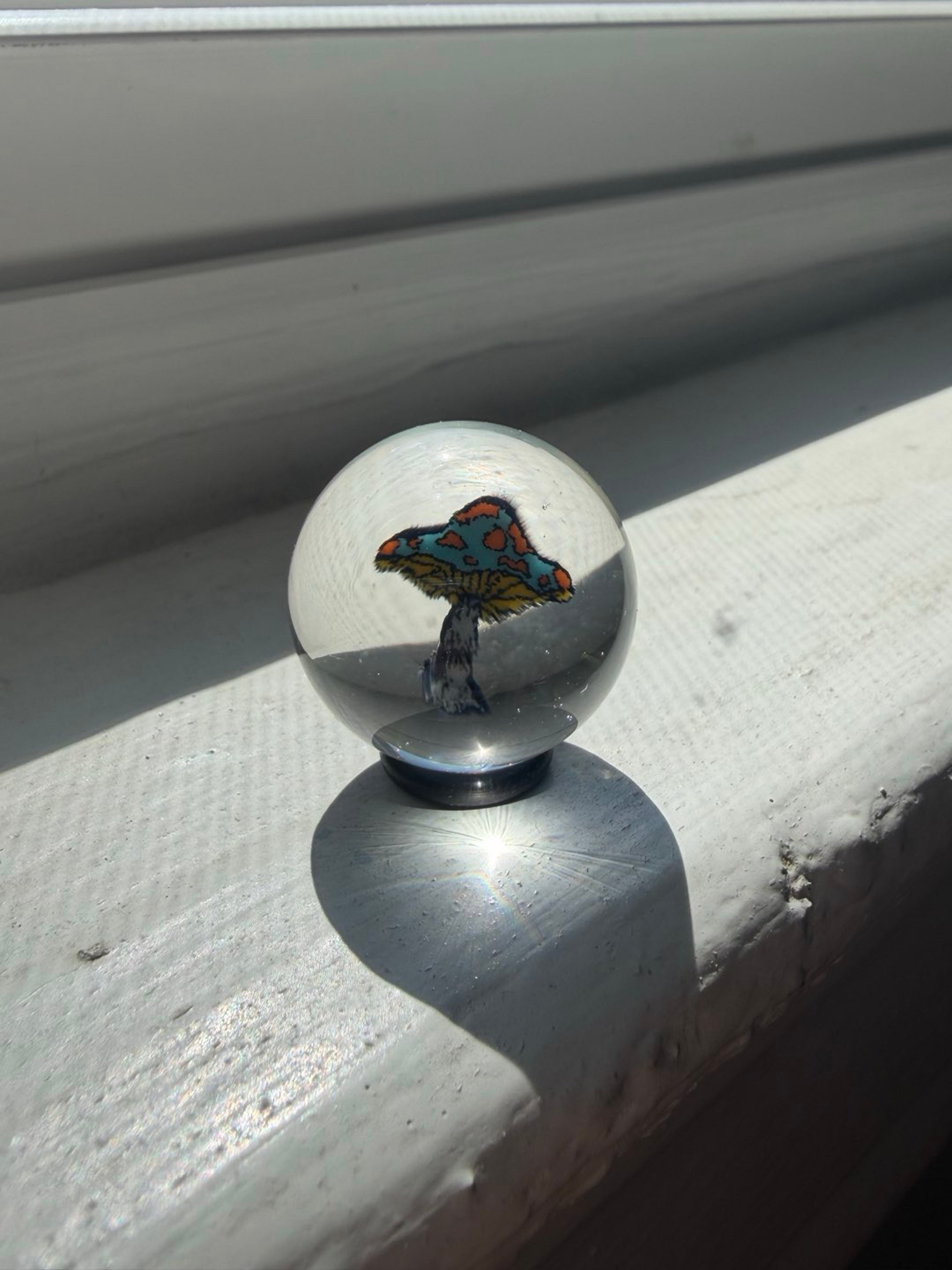 Toro mushroom marble image 0