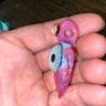 Small image 3