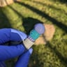 Small image 1