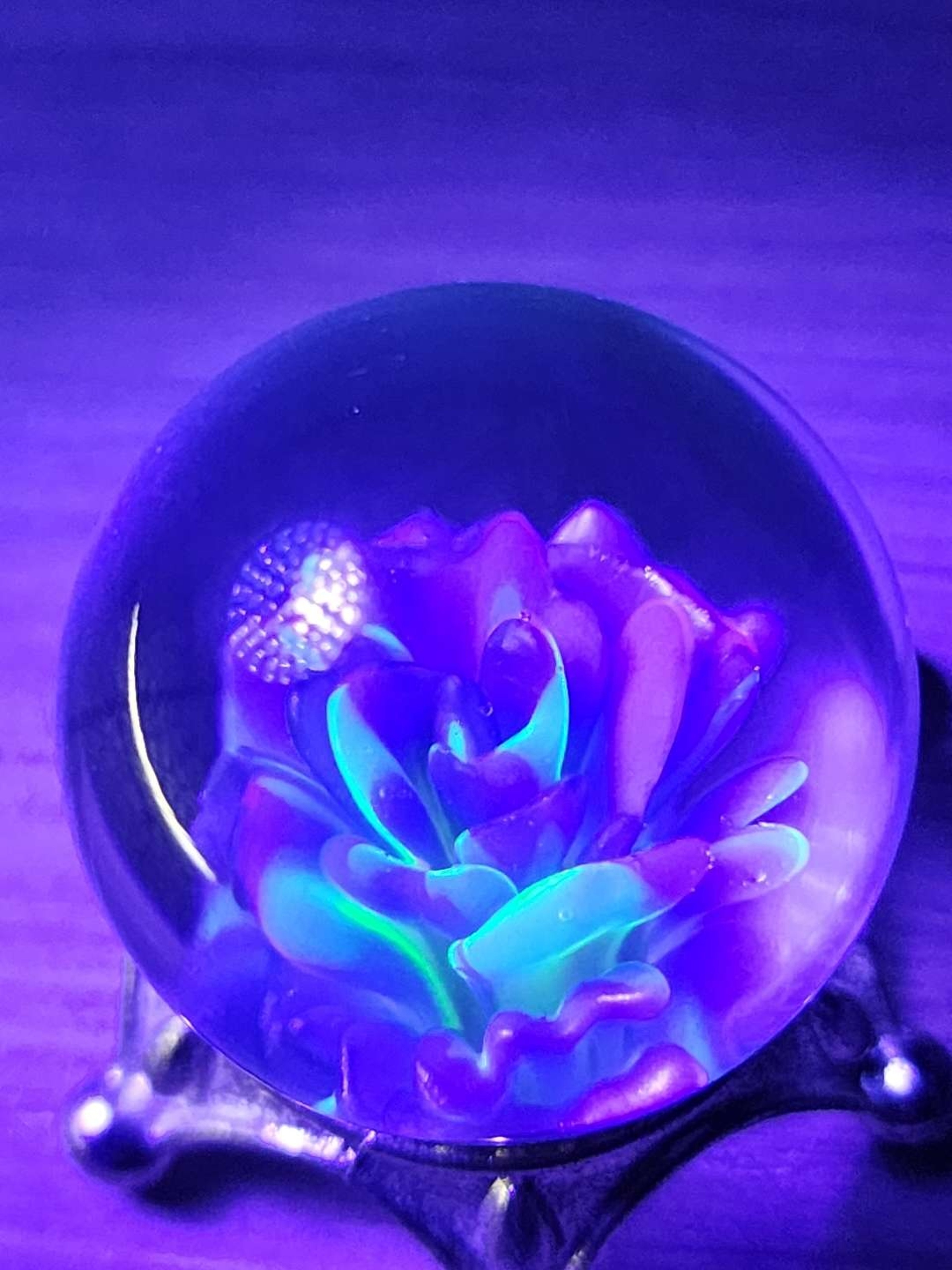 Preview pic of 1.6 electrum over perry Winkle with uv