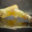 Small image 7