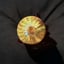Small image 6
