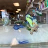 Small image 0