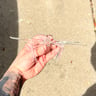 Small image 3