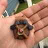 Small image 0