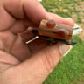 Small image 3