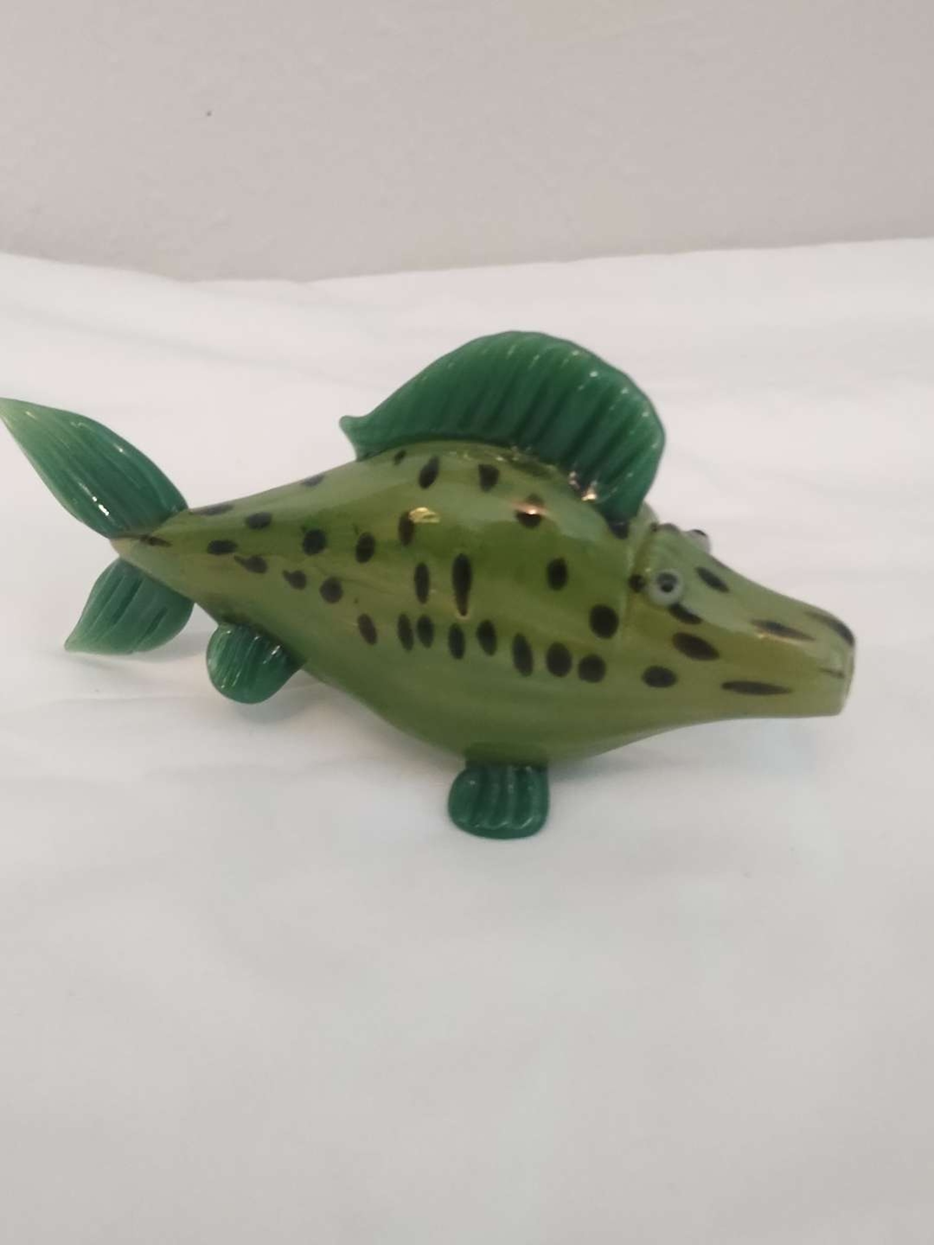 Catch of the Day image 0