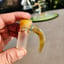 Small image 7