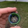 Small image 2