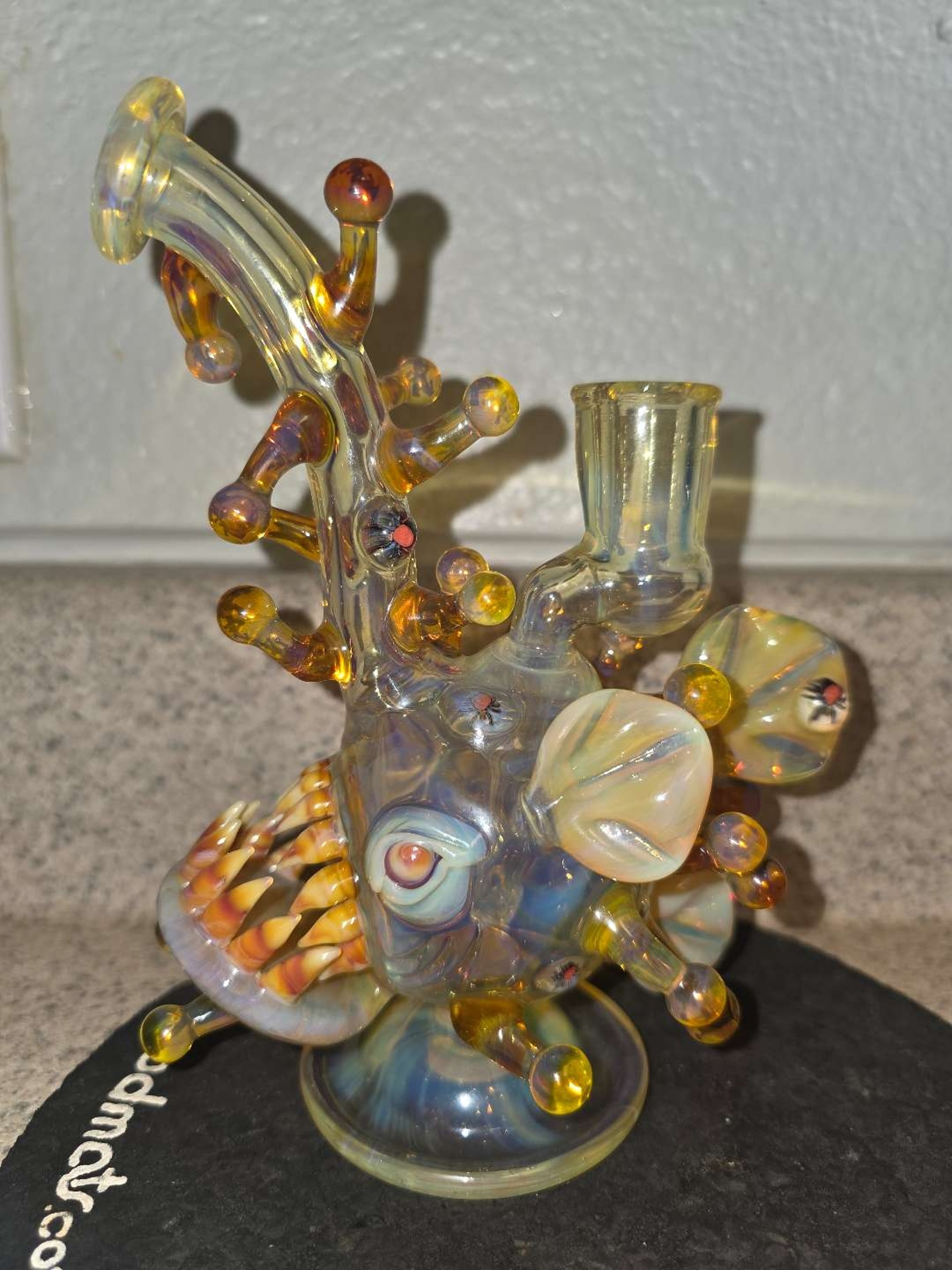 Preview pic of Mr gray x Wyoming mofo