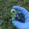 Small image 0