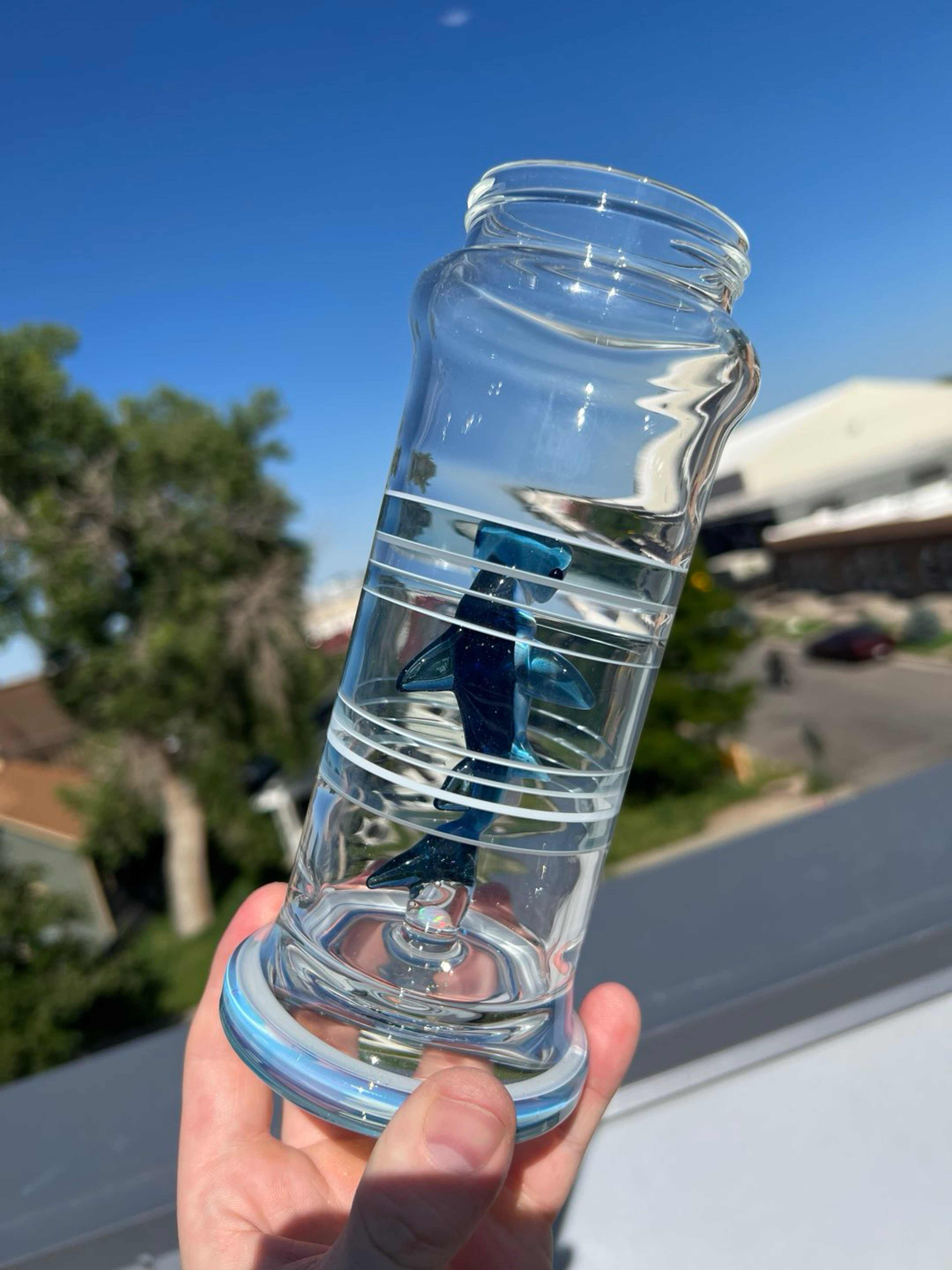 Preview pic of Liz Wright Hammerhead Shark Glass Water Bottle