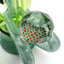 Small image 7