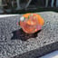 Small image 7