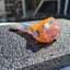 Small image 6