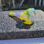 Small image 4