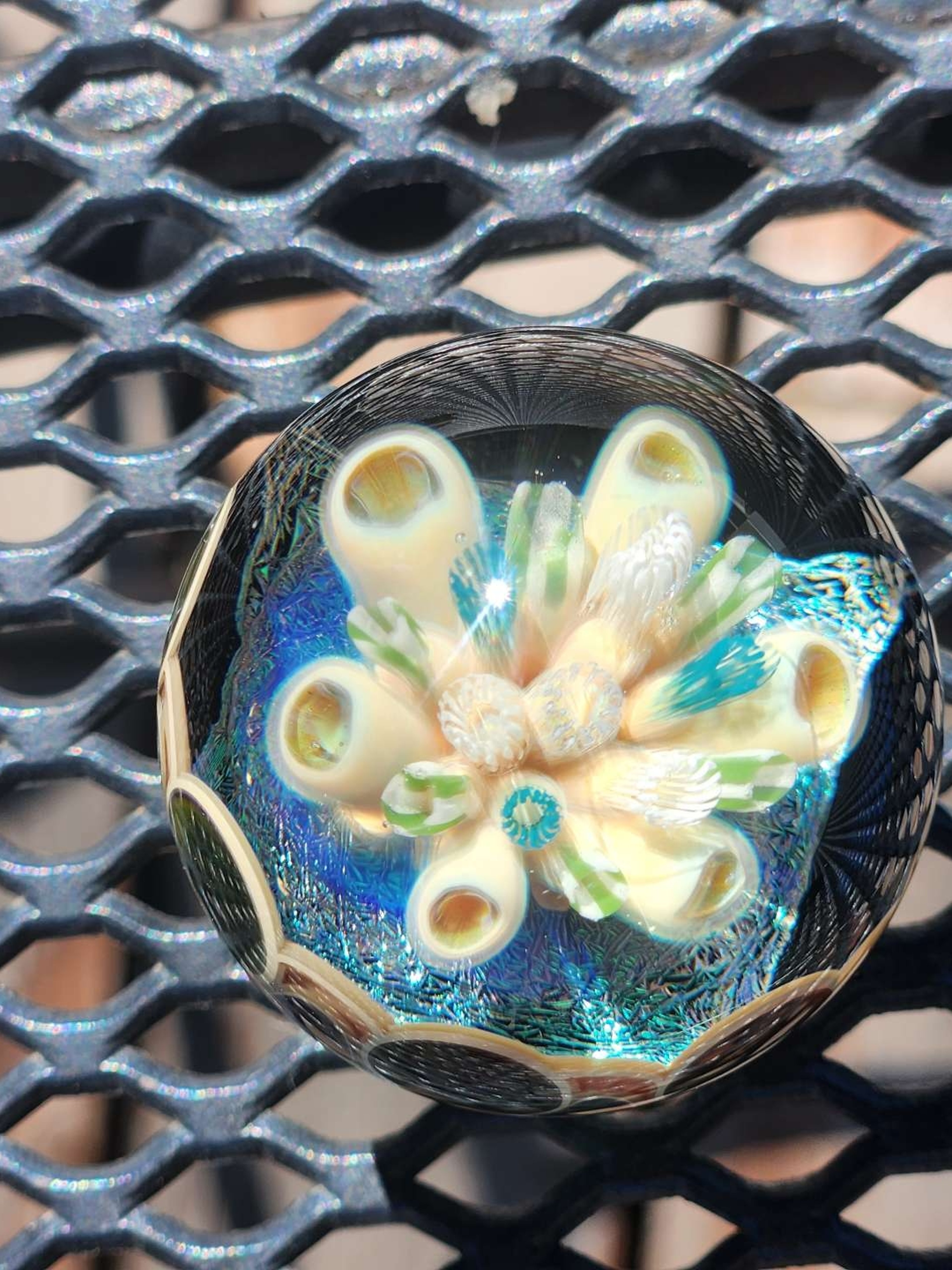 Preview pic of Jack Hanshaw reef life marble