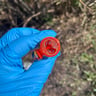 Small image 4