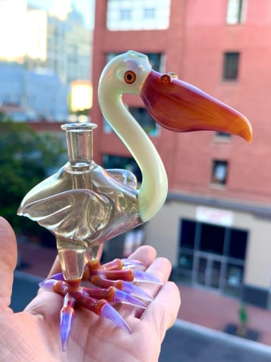 Preview pic of Burtoni Pelican