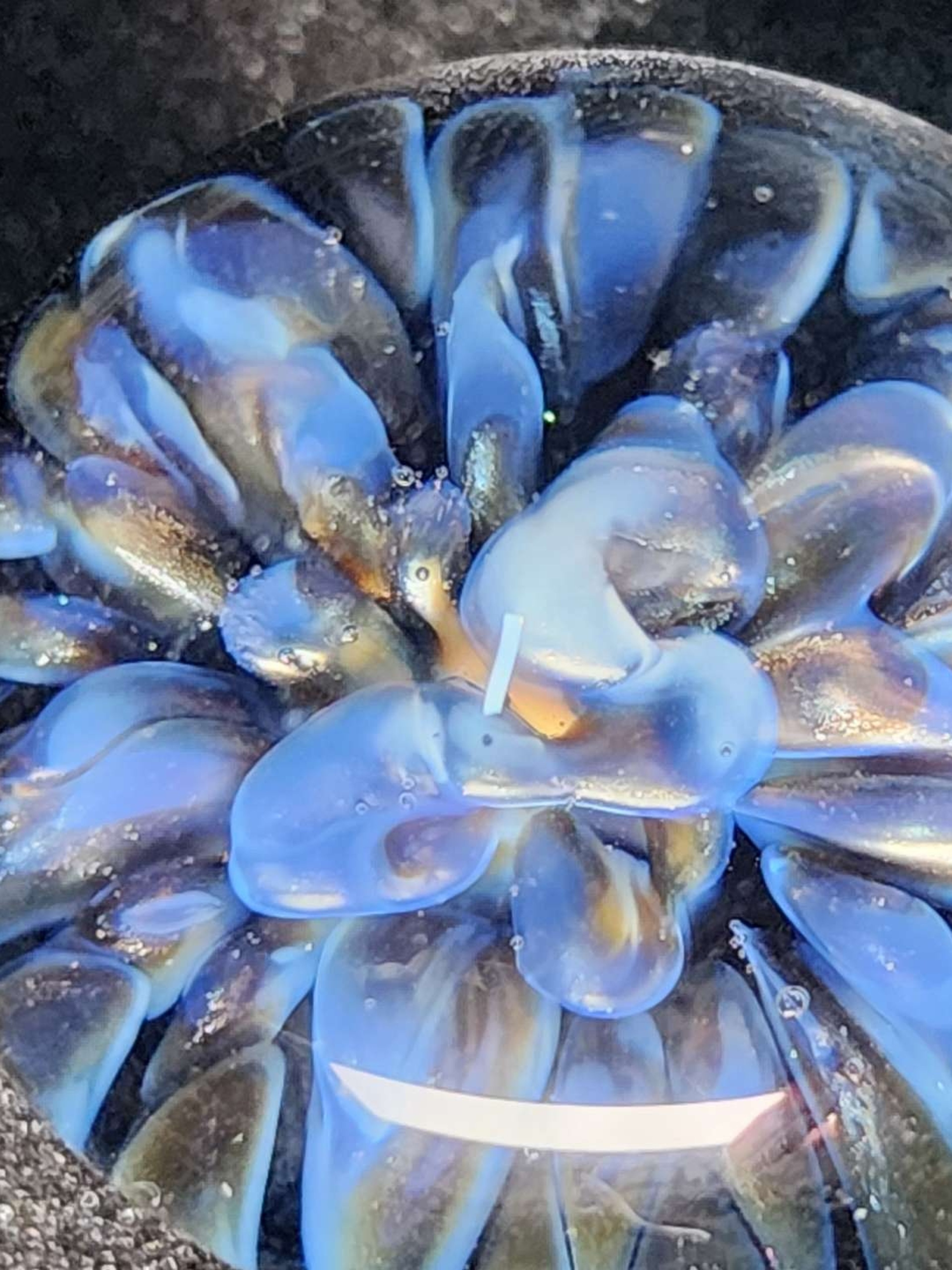 Preview pic of Electrum over Moonlight flower pendy
