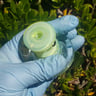 Small image 3