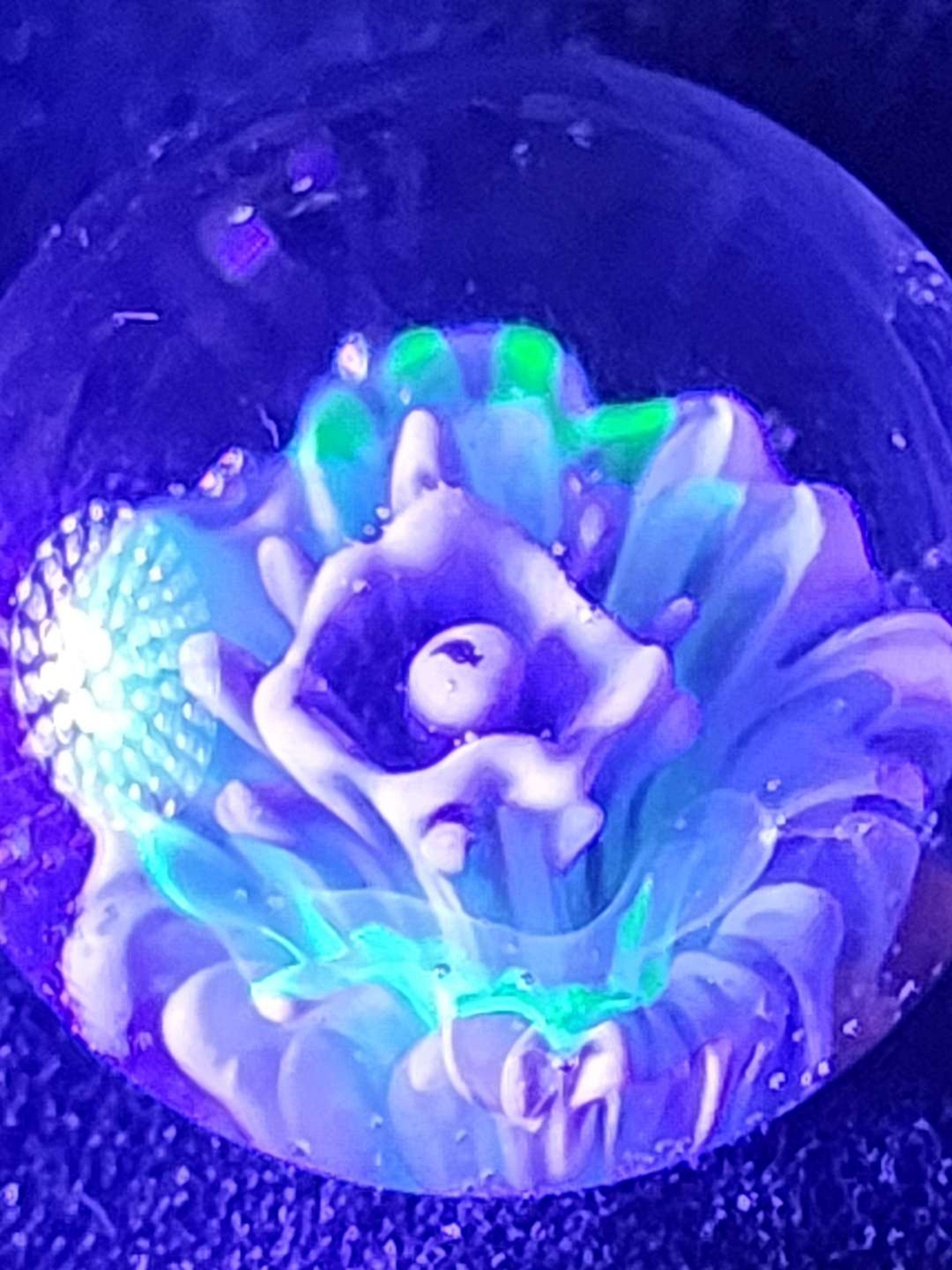 Preview pic of 1.0 inch Frankenstein Flower Marble w/UV effects