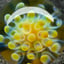 Small image 6