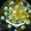 Small image 7