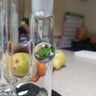 Small image 5