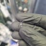 Small image 1