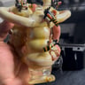 Small image 0