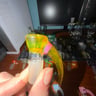 Small image 1