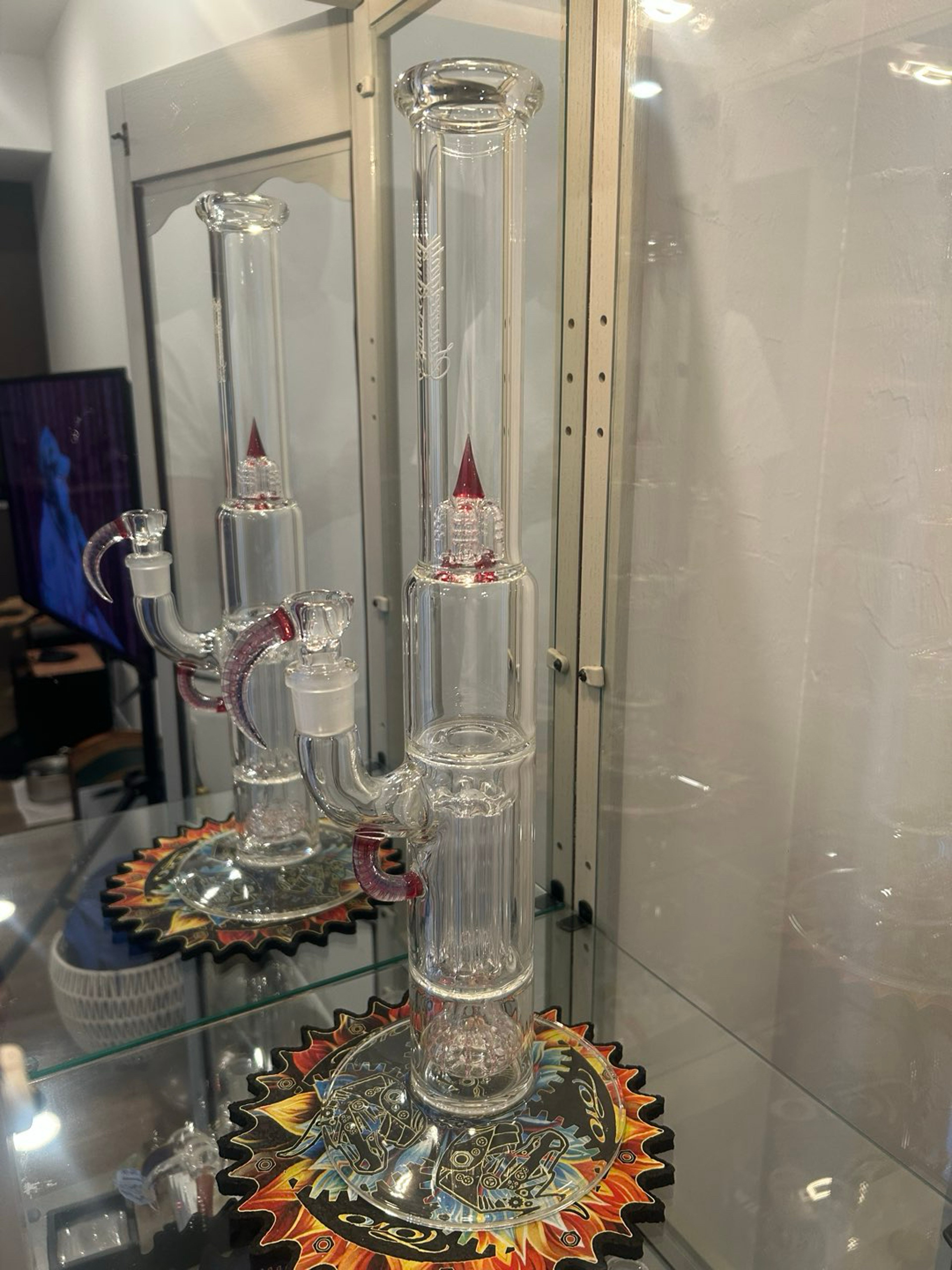 Preview pic of Sovereignty Peyote Pillar Hibiscus PA Accent
