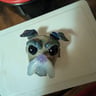 Small image 0