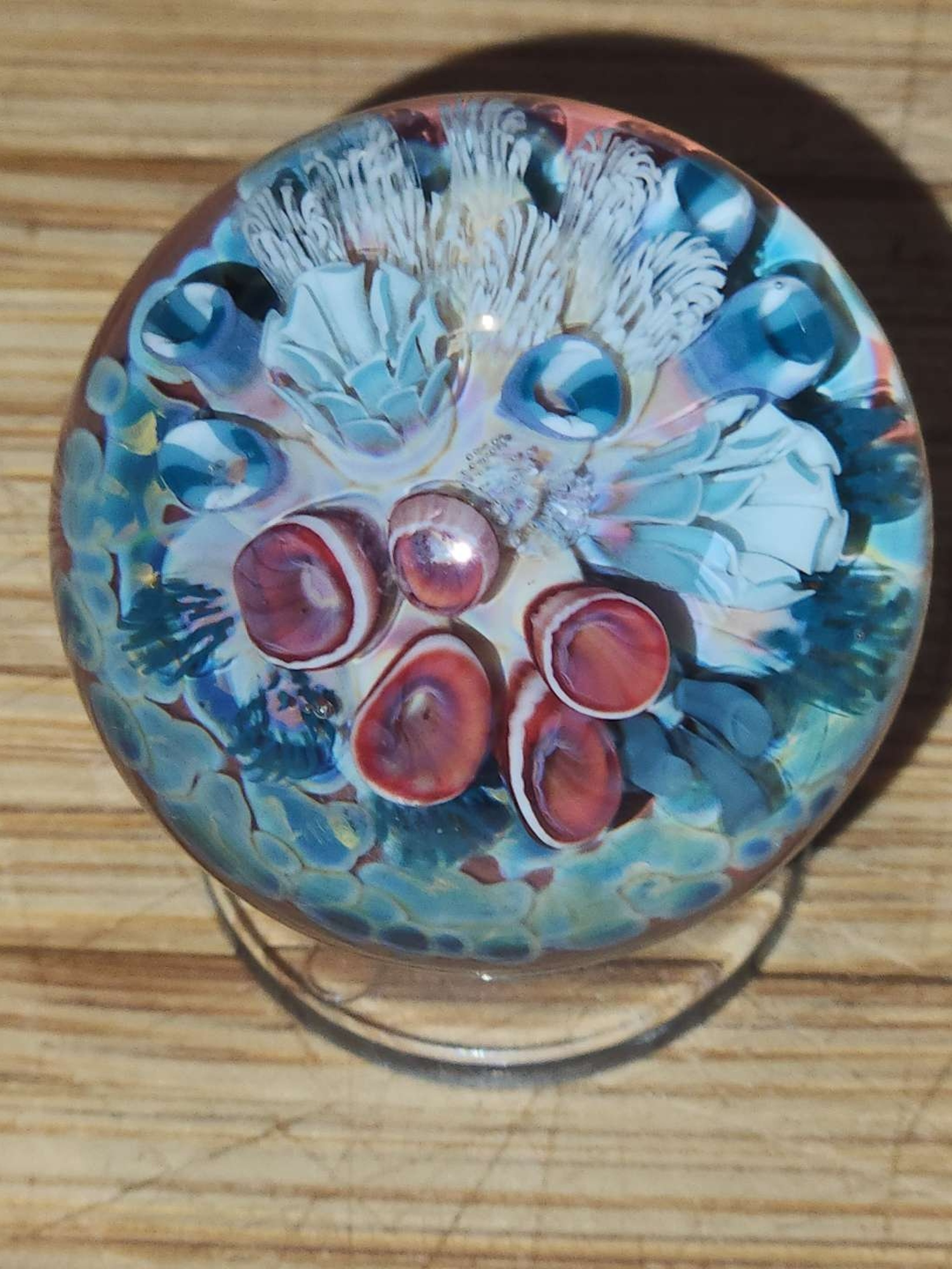 Preview pic of Hanshaw reef marble