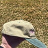 Small image 1