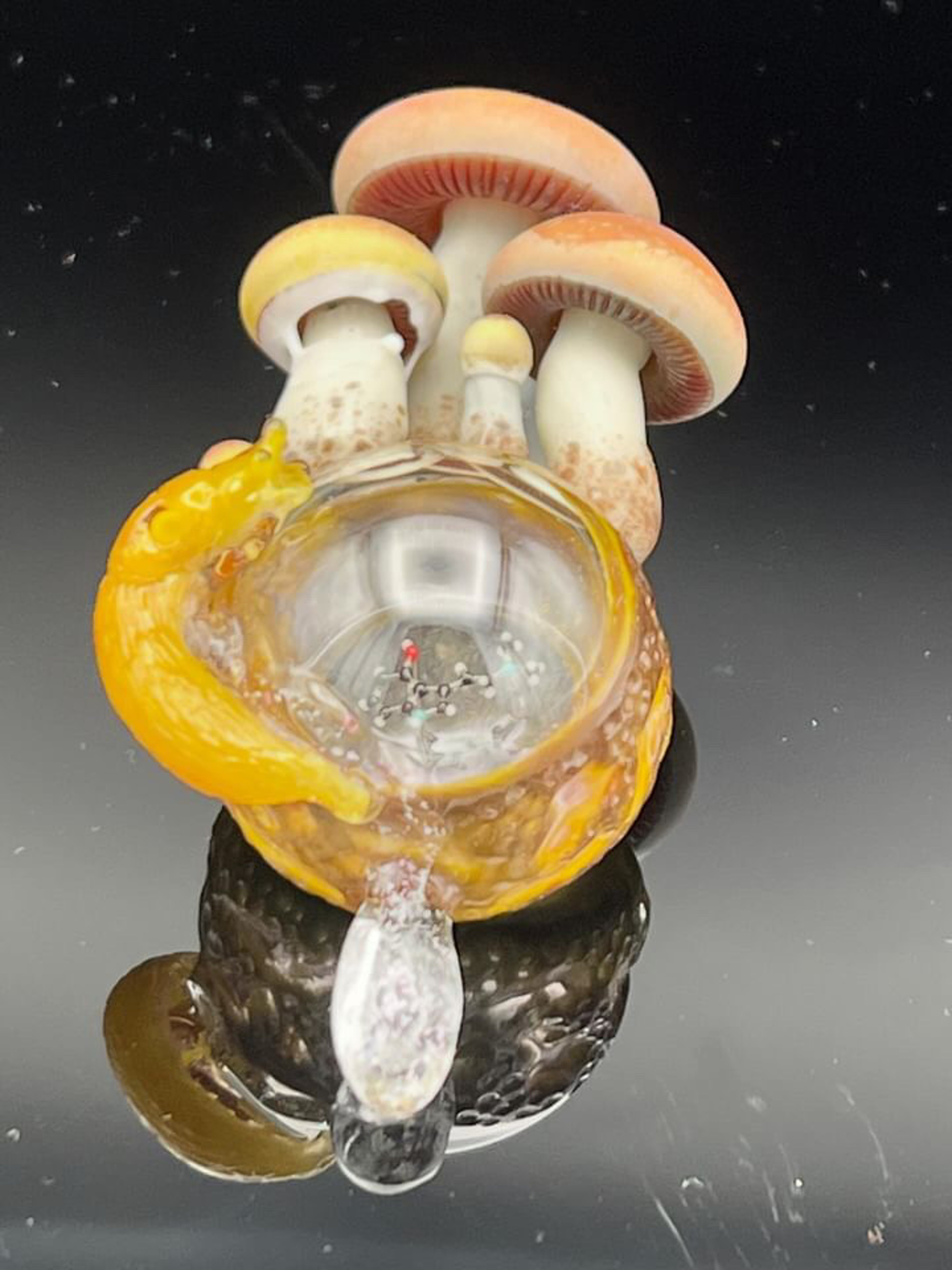 Preview pic of Fungi x Dan Hoffman