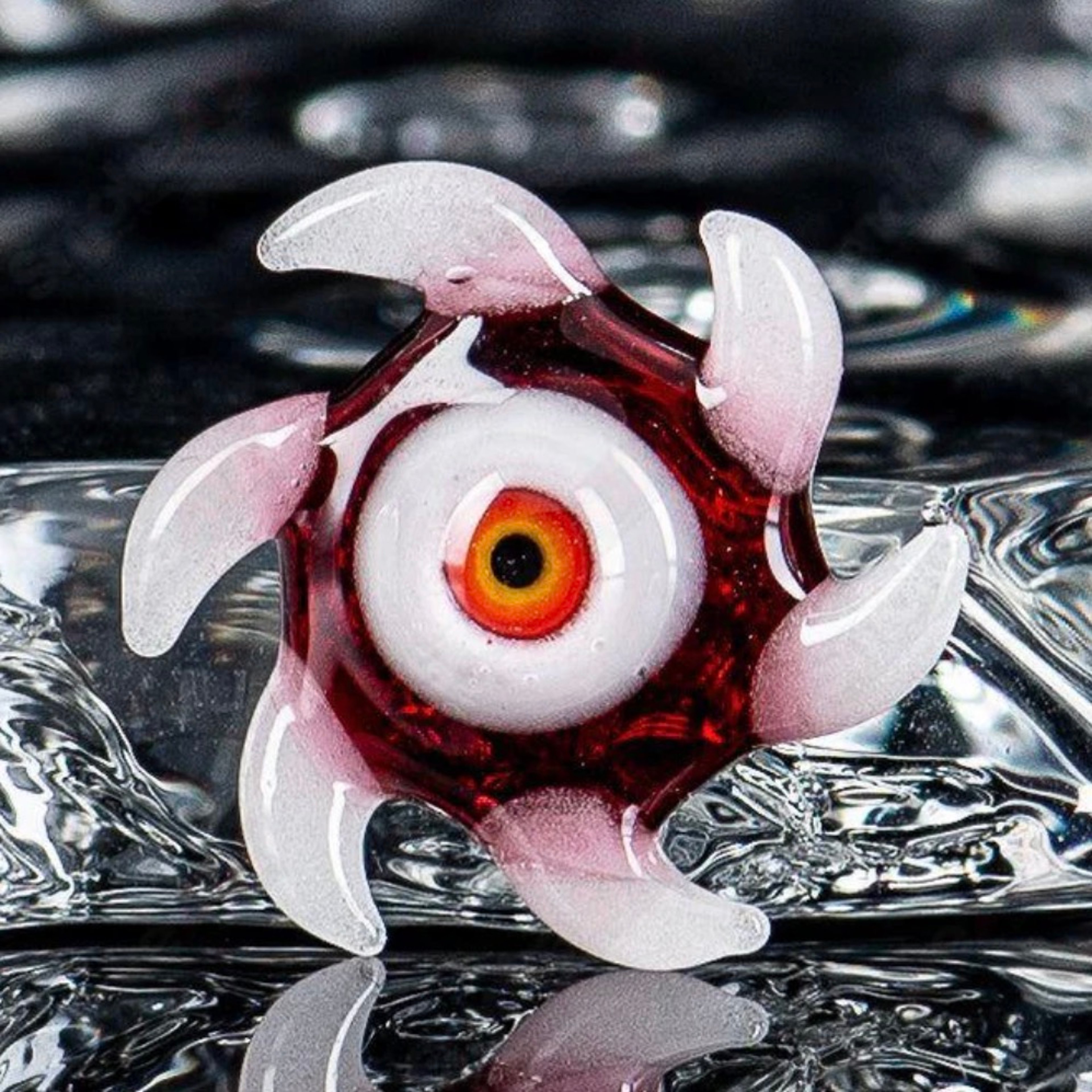 Preview pic of Salt Starefish