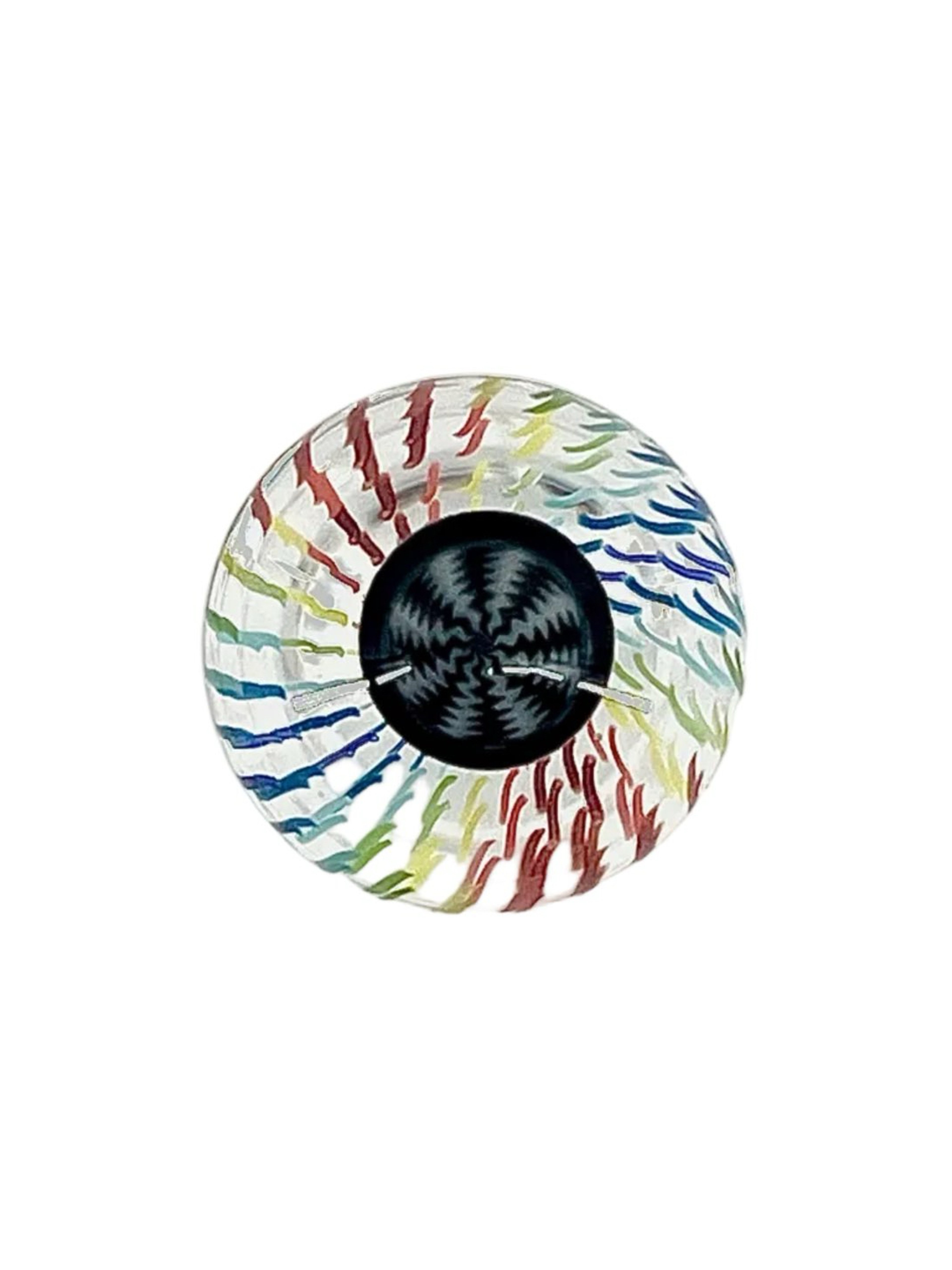 Preview pic of Jared Wetmore Rainbow Wig Wag Millefiori Marble