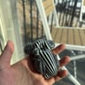 Small image 3