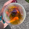 Small image 5