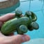 Small image 4