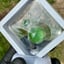 Small image 5