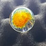 Small image 5