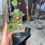 Small image 1