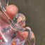 Small image 8